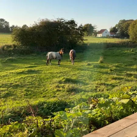 Semesterbostad Lovely Rural Idyll In Near Nature Haderslev
